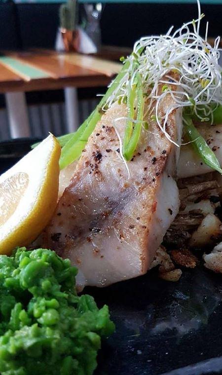 Coya - Accommodation Whitsundays 4