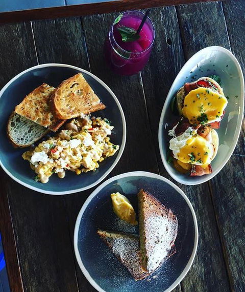 Bourke & Hare - Accommodation Whitsundays 9