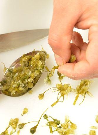 Twelve Stones - Accommodation Whitsundays 1