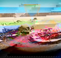 The Vinyard Wine Bar  Restaurant - Accommodation Whitsundays