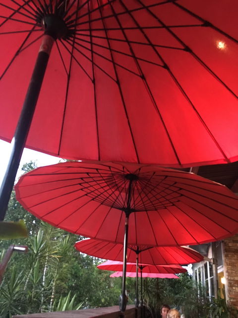 Tropical Phoenix Garden Restaurant - Accommodation Whitsundays 3