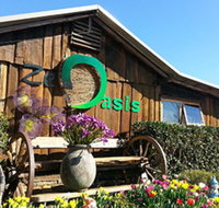 Zen Oasis Vegetarian Restaurant - Accommodation Whitsundays