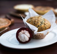 Julaymba Restaurant  Gallery - Accommodation Whitsundays