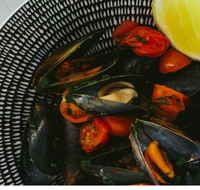 The Italian Diner - Accommodation Whitsundays