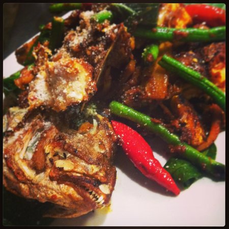 Byron Bay NSW Accommodation Whitsundays