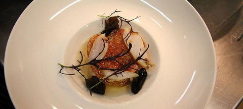 Made In Africa - Accommodation Whitsundays 1