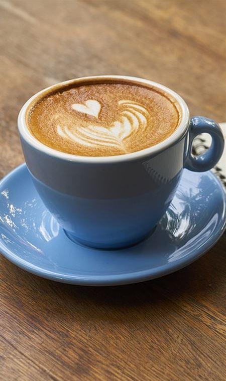 The Fernery Bistro - Accommodation Whitsundays 4