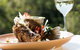 View Restaurant Peppers Noosa - thumb 1
