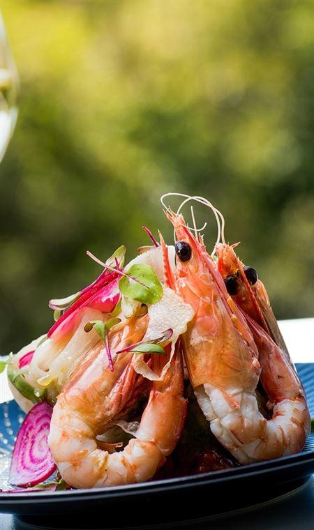 View Restaurant Peppers Noosa - Accommodation Whitsundays 4