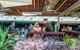 Watermark - Townsville - thumb 29
