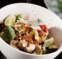 Wild Ginger - Accommodation Whitsundays