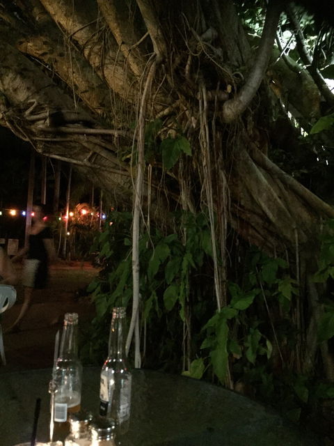 Big Fig Bistro - Accommodation Whitsundays 6