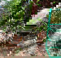 Larrimah Pink Panther Hotel - Accommodation Whitsundays