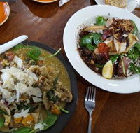 Fish Frenzy - Accommodation Whitsundays