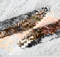 Stefano Lubiana Wines - Accommodation Whitsundays