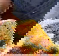 Brighton's Best Bakehouse - Accommodation Whitsundays