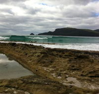 Bruny Island Berry Farm - Accommodation Whitsundays