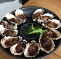Get Shucked Oyster - Accommodation Whitsundays