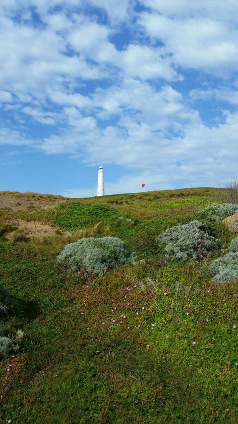 King Island Golf - Accommodation Whitsundays 3