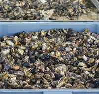 Lease 65 - Accommodation Whitsundays