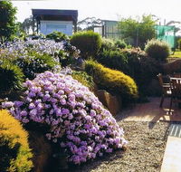 Pipers River Tea House and Crafts - Accommodation Whitsundays