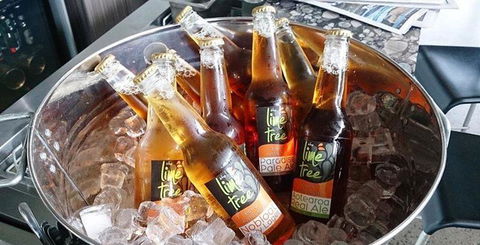 Lime Tree Bar & Restaurant - Accommodation Whitsundays 13