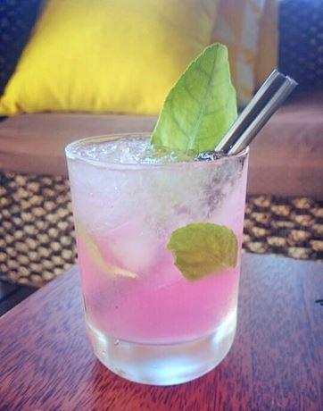 Lime Tree Bar & Restaurant - Accommodation Whitsundays 17