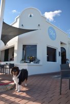 Blue Vue Cafe - Accommodation Whitsundays 3