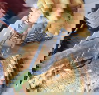 Essence Cafe - Accommodation Whitsundays