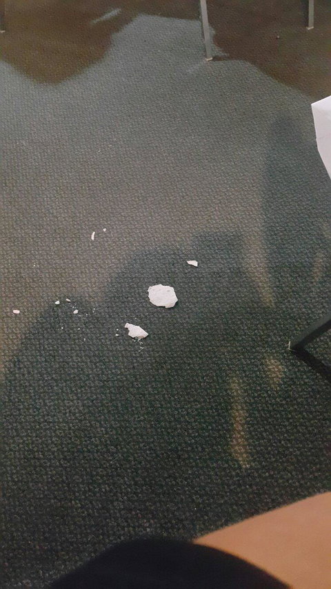 New Panda Chinese Restaurant - Accommodation Whitsundays 1