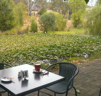 Avocados - Accommodation Whitsundays