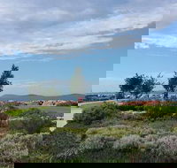 Coffee Cat - Accommodation Whitsundays