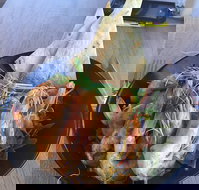 The Strand Byford Lakeside Restaurant  Cafe - Accommodation Whitsundays