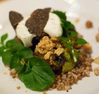 Foragers - Accommodation Whitsundays