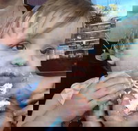 Rose's Bakery - Accommodation Whitsundays