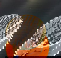 The Daily Grind Cafe - Accommodation Whitsundays