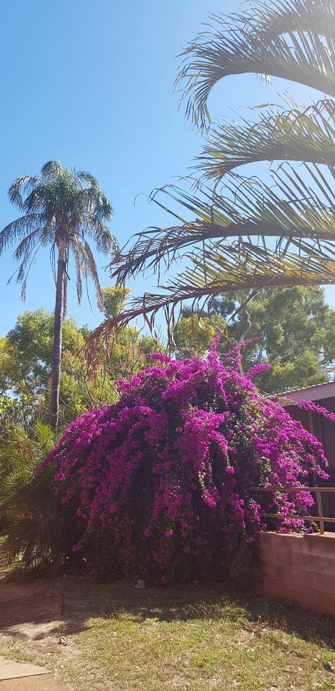 The Pickled Bean - Accommodation Whitsundays 1