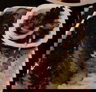 Sneaky Pickle - Accommodation Whitsundays