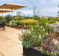 Arid Lands Botanic Garden Cafe - Accommodation Whitsundays