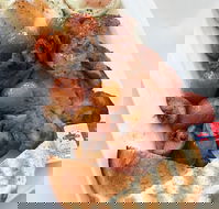 Barmera Cafe Espresso - Accommodation Whitsundays