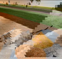 Barmera Chicken and Seafood - Accommodation Whitsundays