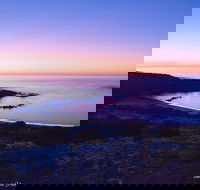 Howling Dog Tavern - Accommodation Whitsundays