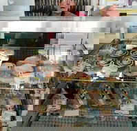 Marr's Bakery - Accommodation Whitsundays