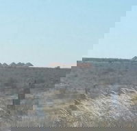 Moonlite Cafe - Accommodation Whitsundays