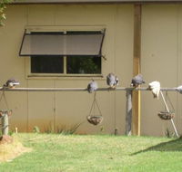 Sandy Grove - Accommodation Whitsundays