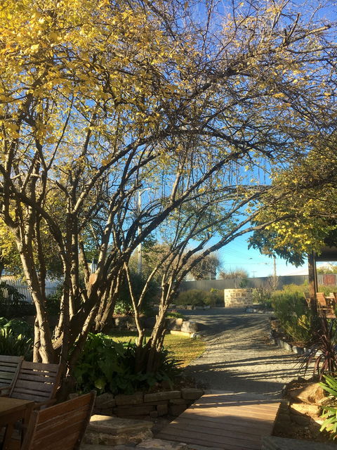 Velvet And Willow Wines - Accommodation Whitsundays 5