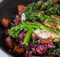 The Hungry Monkey - Accommodation Whitsundays