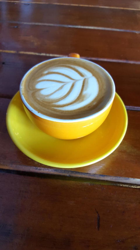 Wake Me Up - Accommodation Whitsundays 1
