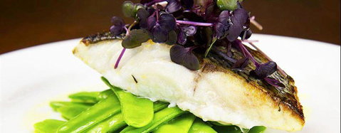 Otto's Fresh Food Market - Accommodation Whitsundays 9