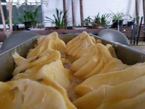 Affogato Gelato & Coffee - Accommodation Whitsundays 0